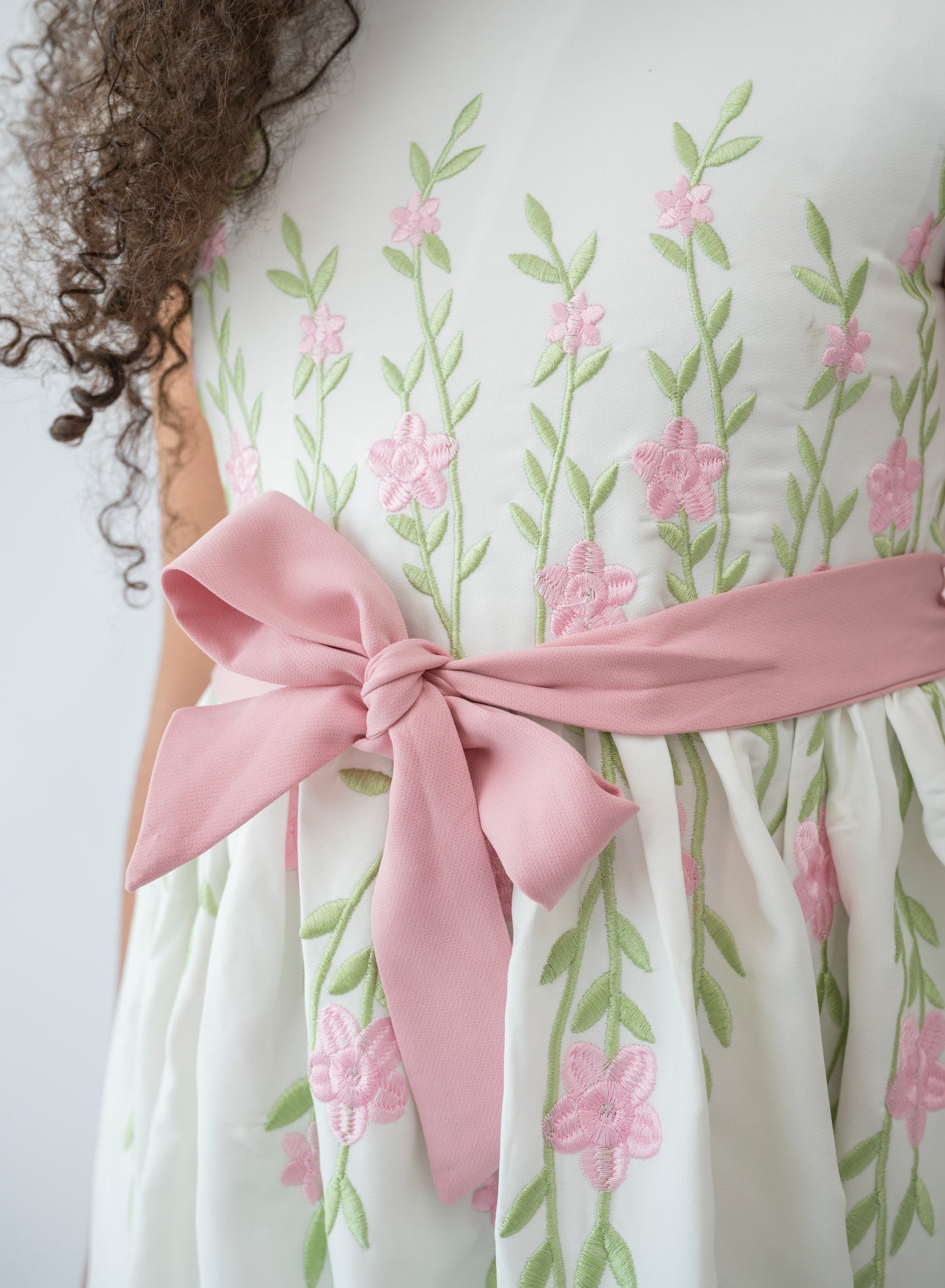 Garden Gala Embroidered Dress