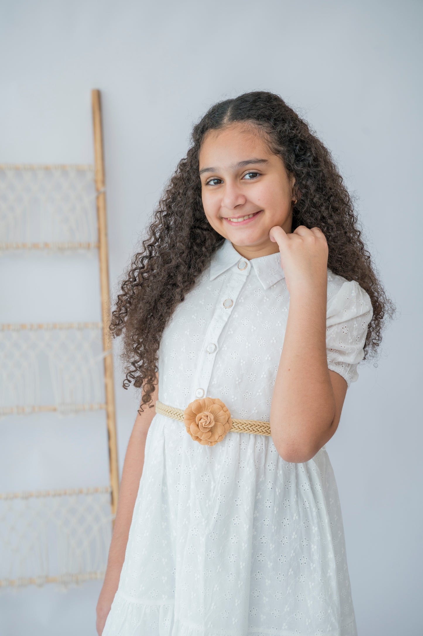 Classic Elegance Belted Dress