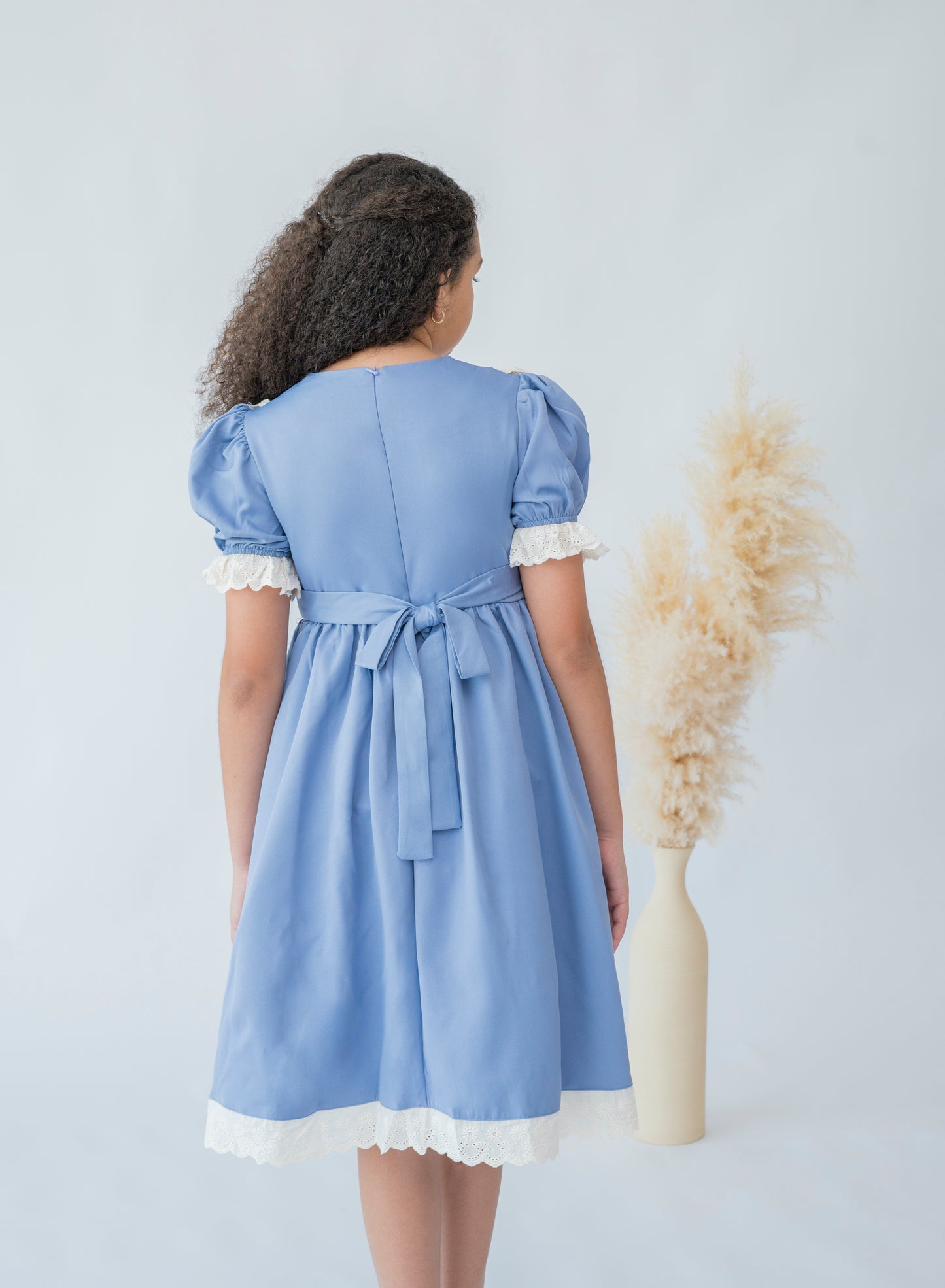 Bluebell Lace Collar Dress